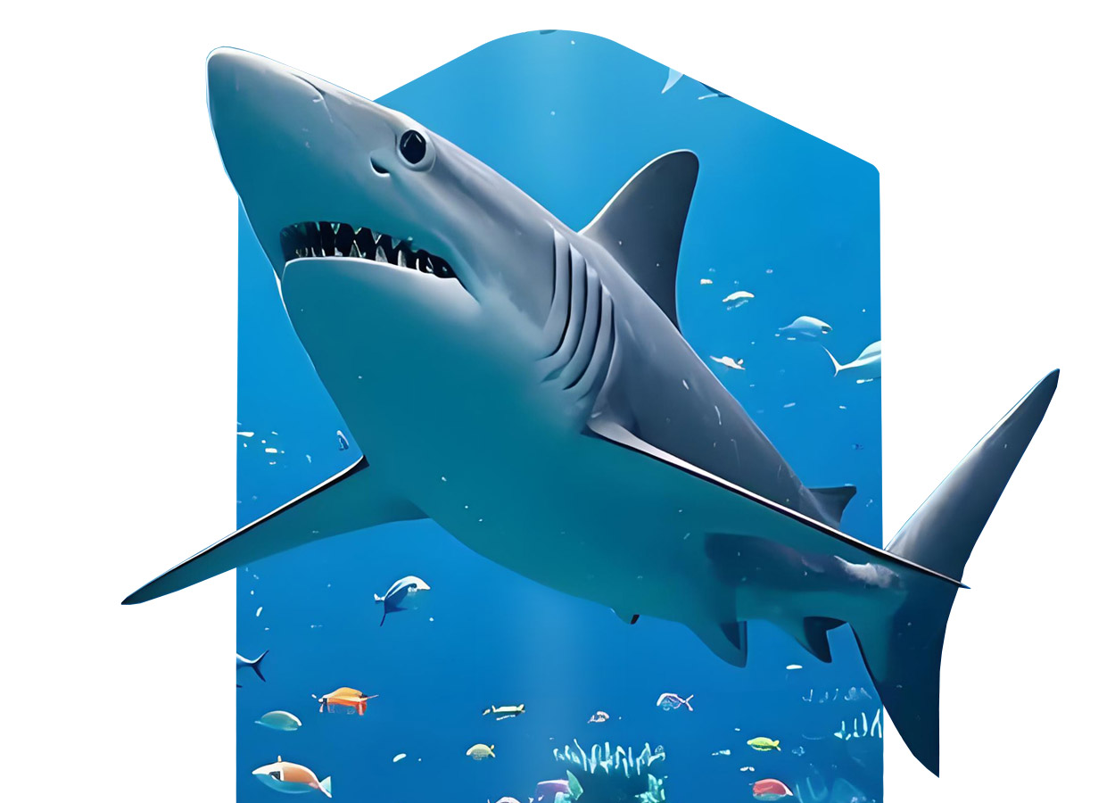 3D-LED-Poster-Display-3.jpg